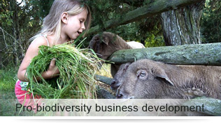 Pro-biodiversity business development