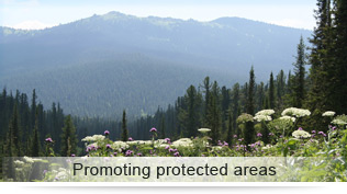 Promoting protected areas
