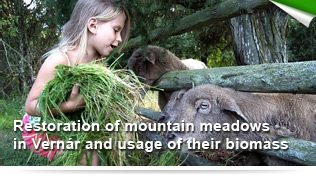 Restoration of mountain meadows in Vernár and usage of their biomass